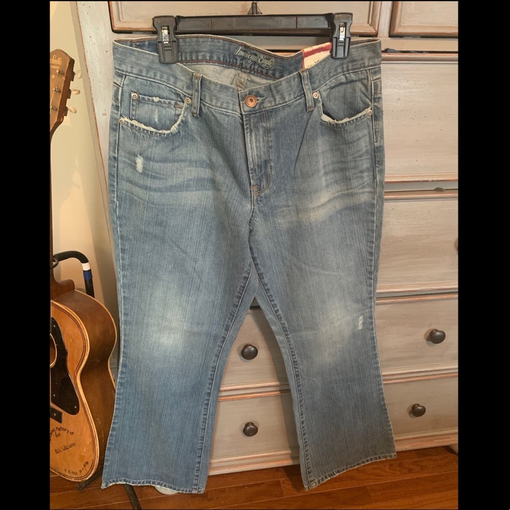 American Eagle Hipster Skinny Flare 14 petite